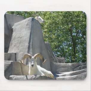 rams mouse mat