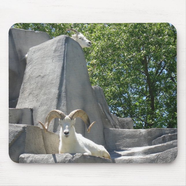rams mouse mat (Front)