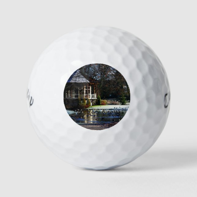 Rams Woerthe Tea House cwb gbm Golf Balls (Front)