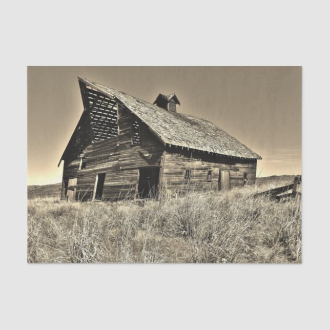 Ramshackle Sepia Barn in a Desolate Grass Field Tissue Paper (Front)