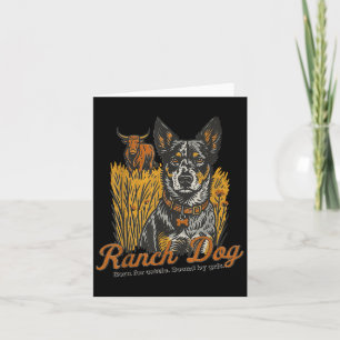 Ranch Herding Dog Cattle Farm Life Western Fall Co Card