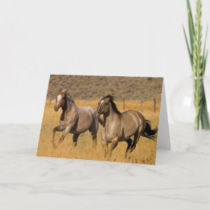 Ranch Living at The Ponderosa Ranch Card