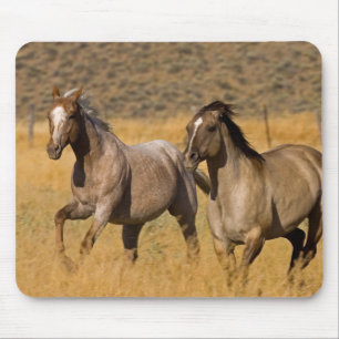 Ranch Living at The Ponderosa Ranch Mouse Mat