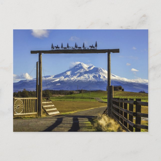 RANCH VIEW OF SHASTA POSTCARD (Front)