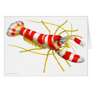 Randall's Pistol Shrimp Art Card