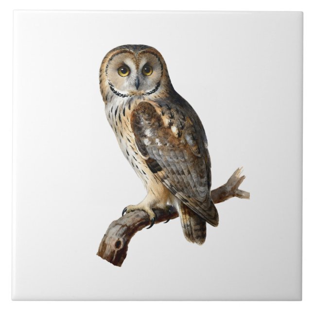 “Randolph” - A Watchful Silence, An Owl’s Portrait Tile (Front)