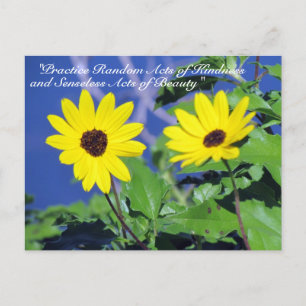 Random Acts of Kindness Postcard- Black Eyed Susan Postcard
