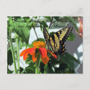 Random Acts of Kindness Postcard - Butterfly