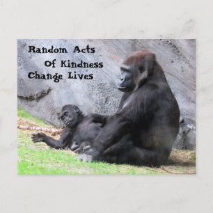 Random Acts of Kindness Postcard - Gorilla Family