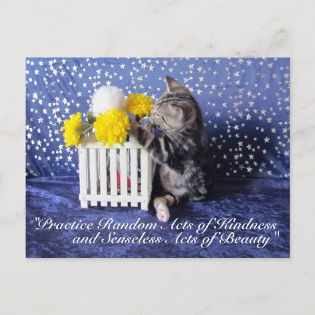 Random Acts of Kindness Postcard- Lilo 3809a Postcard (Front)