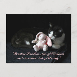 Random Acts of Kindness Postcard - Selene