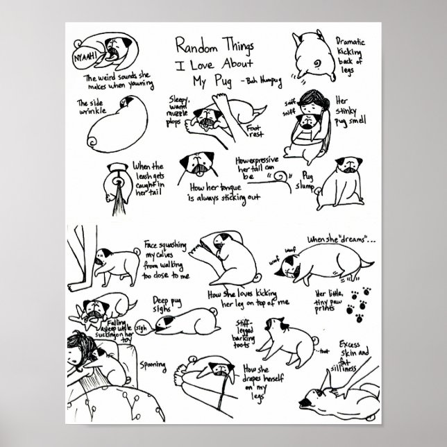 Random Things I Love About My Pug Poster (Front)