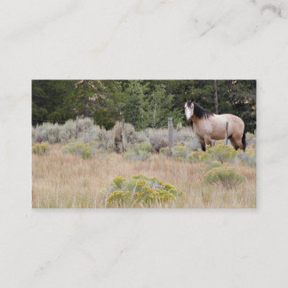 Range horse business card
