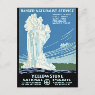 Ranger Naturalist Service Yellowstone Vintage Post Postcard