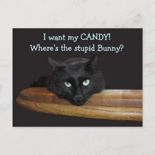 Ranger The Stupid Bunny Easter Postcard