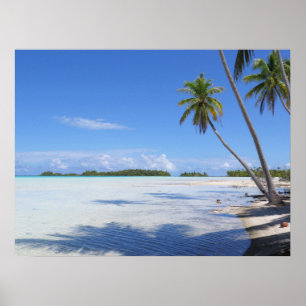 Rangiroa Blue Lagoon Palm trees Poster