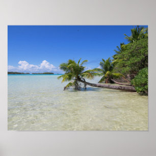 Rangiroa French Polynesia Poster