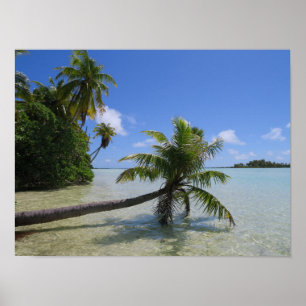 Rangiroa Palm Tree Poster