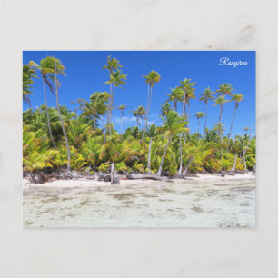 Rangiroa palm trees holiday postcard