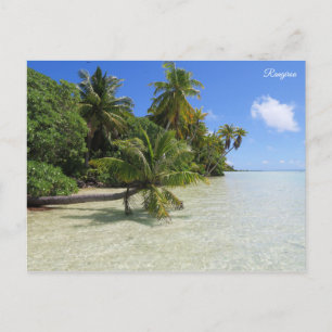 Rangiroa Palm Trees Postcard