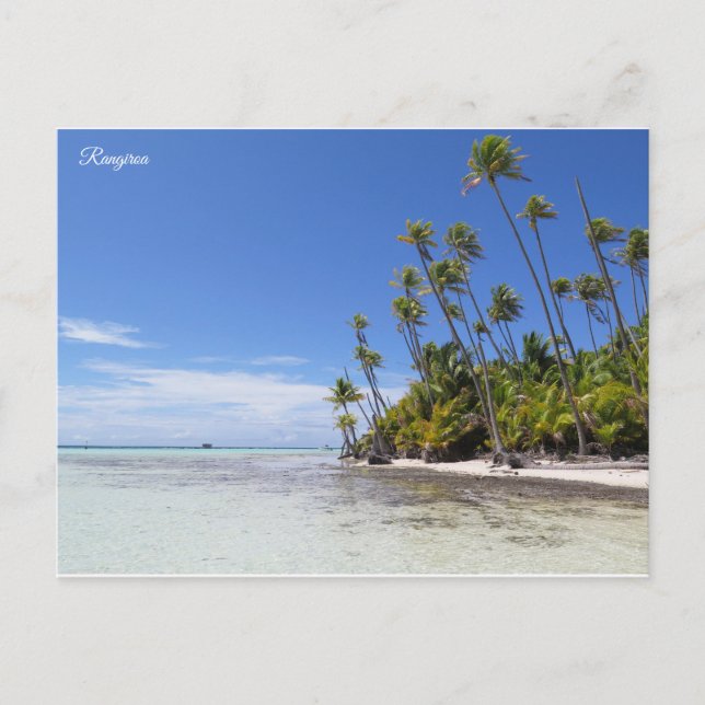 Rangiroa palm trees postcard (Front)