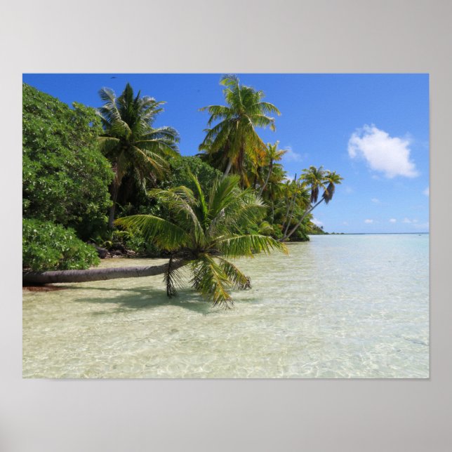 Rangiroa Palm Trees Poster (Front)
