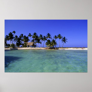 Ranguana Caye, Belise Poster
