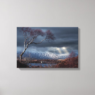 Rannoch Moor Lonesome Tree Canvas Print