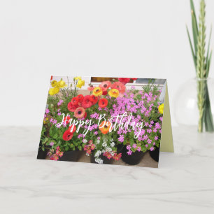 Rannunculus Spring Bulbs floral Flowers Flower Card