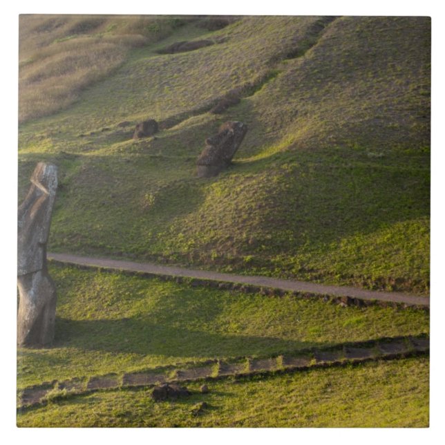 Rano Raraku, Rapa Nui, Easter Island, Chile Tile (Front)