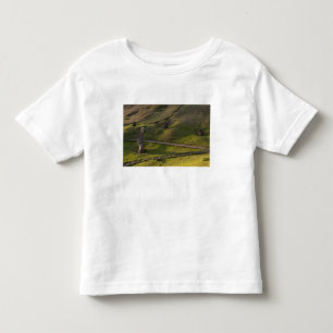 Rano Raraku, Rapa Nui, Easter Island, Chile Toddler T-Shirt