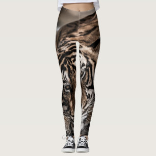 Ranthambore tiger: close-up fine art. leggings