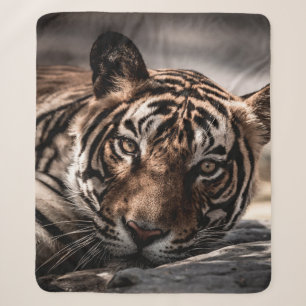 ranthambore wild male tiger Fine art image portrai Sherpa Blanket