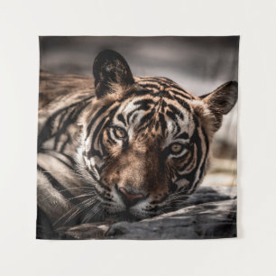 ranthambore wild male tiger Fine art image portrai Tapestry