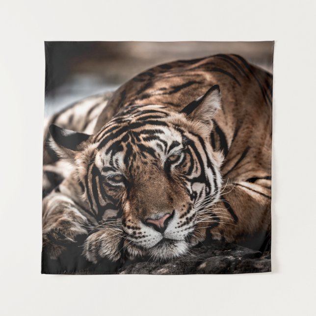 ranthambore wild male tiger Fine art image portrai Tapestry (Front)