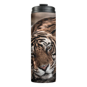 ranthambore wild male tiger Fine art image portrai Thermal Tumbler