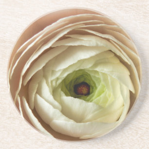 Ranunculus Flower Coaster