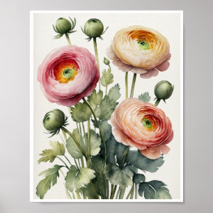 Ranunculus Flowers Handmade Water Colour Poster
