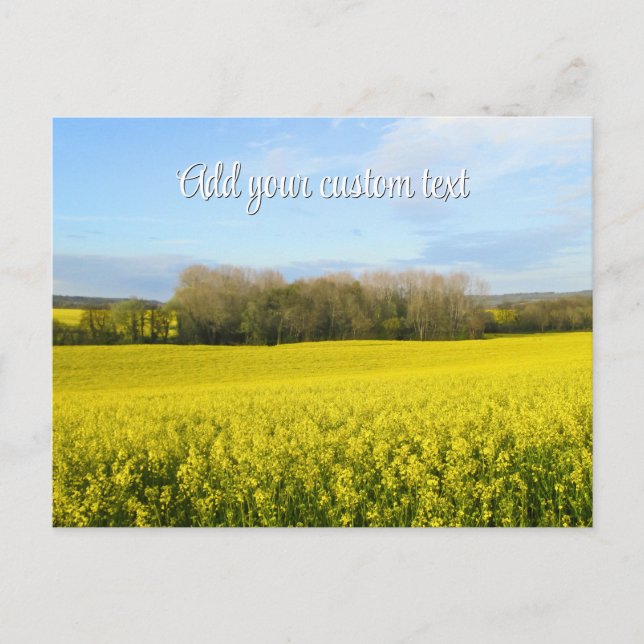 Rapeseed Fields Encircle the Forest - Personalised Postcard (Front)