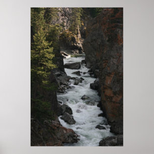 Rapids in BC Poster