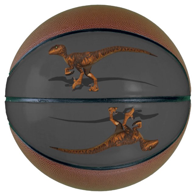 Raptor 1 3D Basketball (Front)