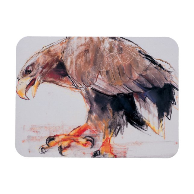 Raptor 2001 magnet (Horizontal)