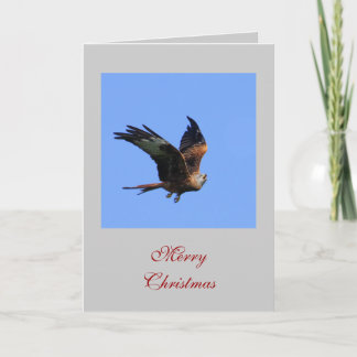 Raptor Christmas Cards