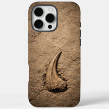 Raptor Claw Fossil