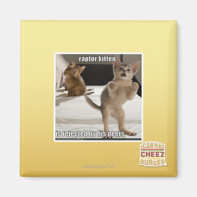 Raptor Kitten Magnet (Front)