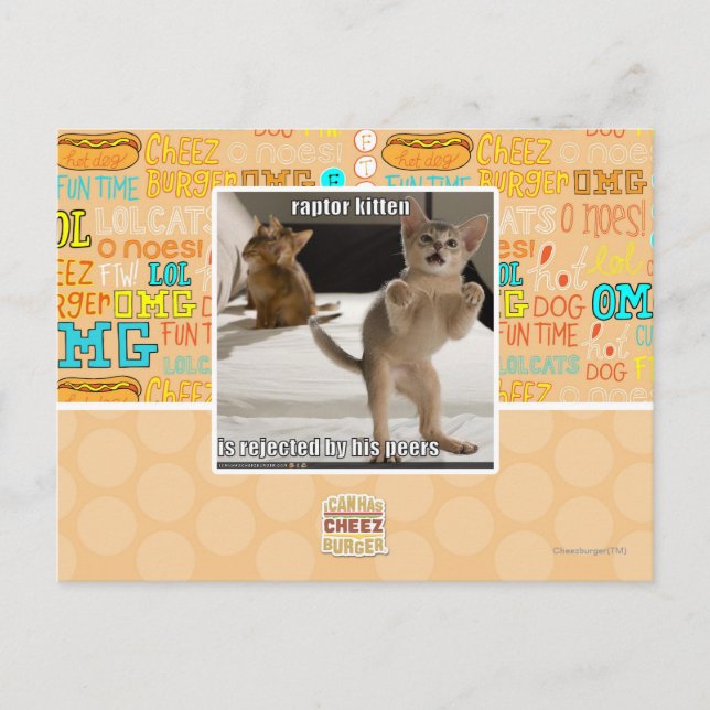 Raptor Kitten Postcard (Front)
