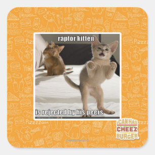 Raptor Kitten Square Sticker