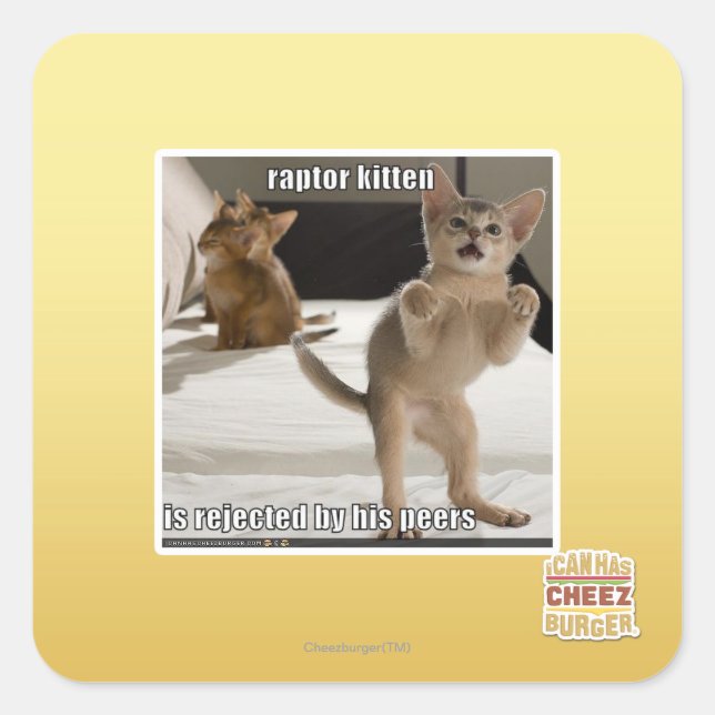 Raptor Kitten Square Sticker (Front)
