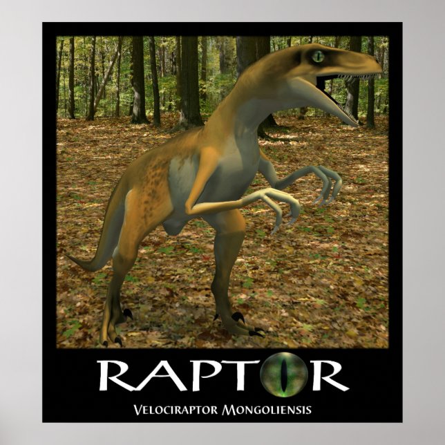 Raptor Poster (Front)