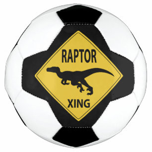 Raptor Xing Football